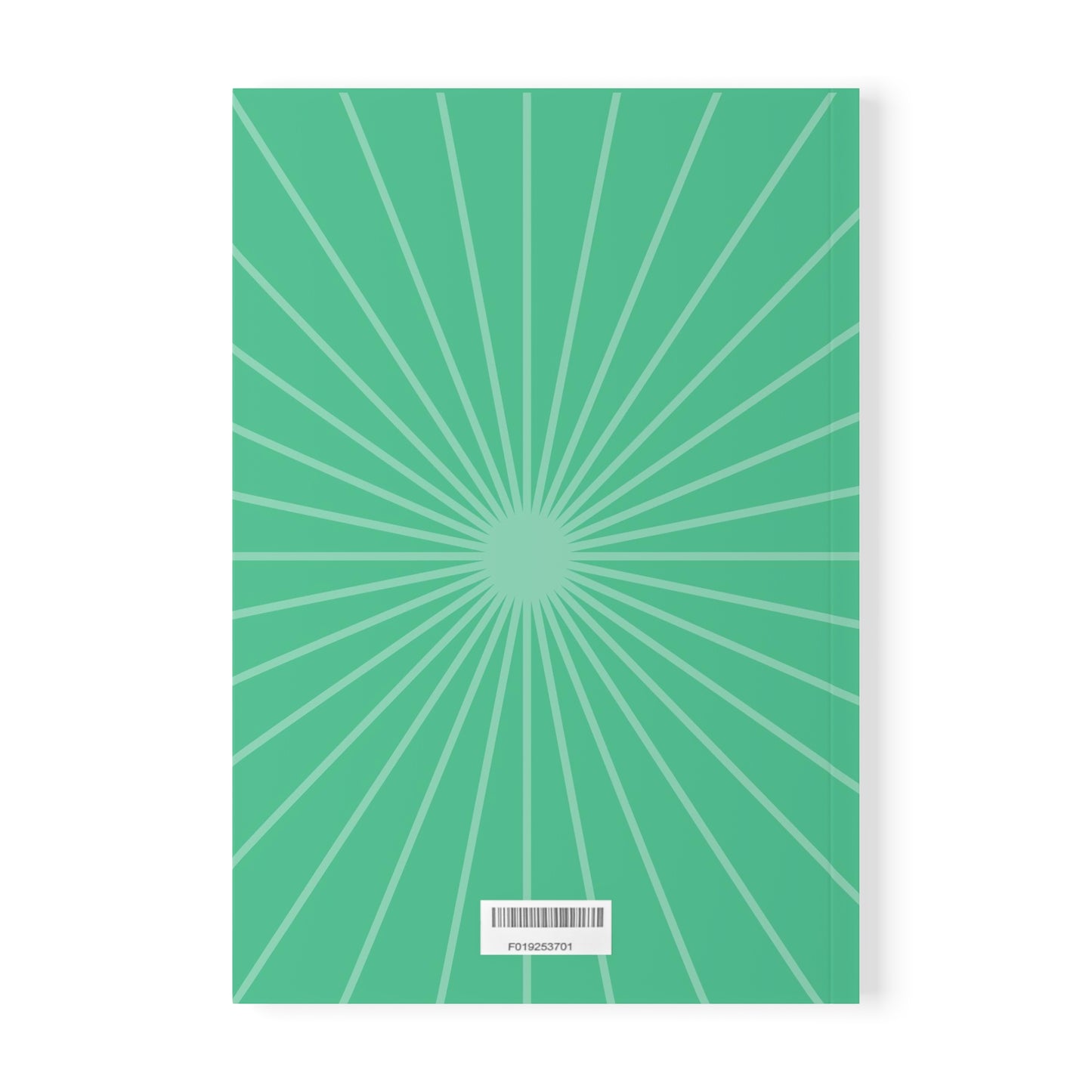 My Big Money Softcover Journal