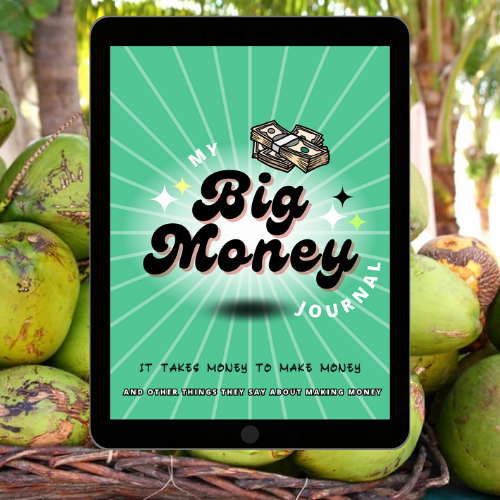 My Big Money Softcover Journal