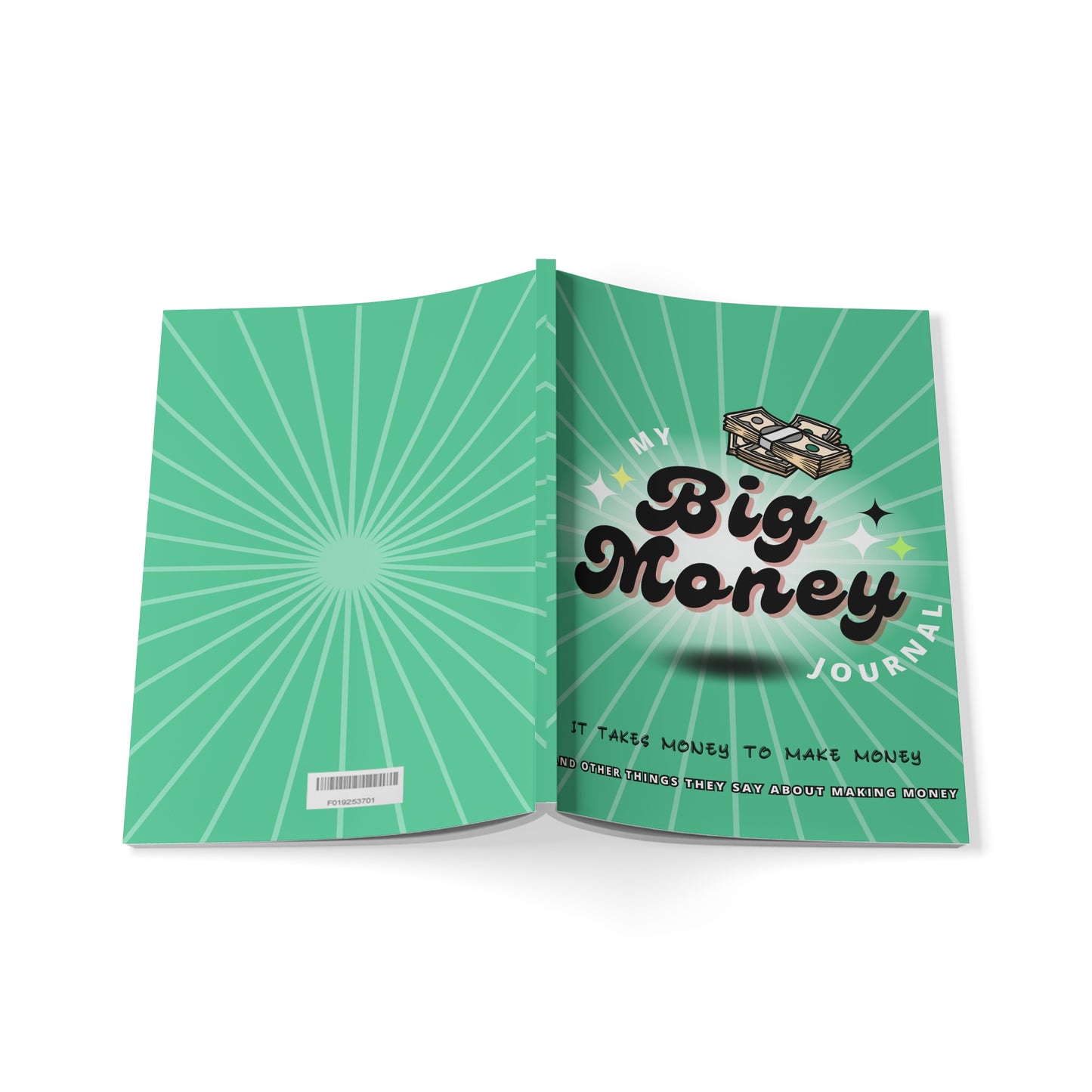 My Big Money Softcover Journal